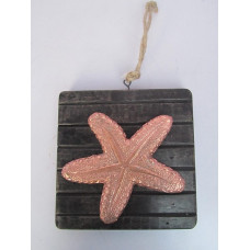 STARFISH ON BASE