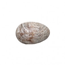 3  DECORATIVE EGG SMALL GRAINS