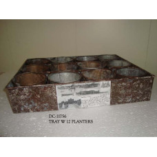 TRAY W 12 PLANTERS