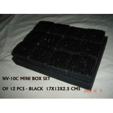 MINI BOX TRAY S/12