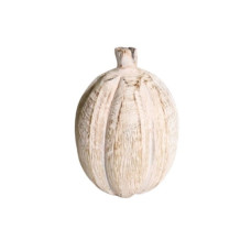 WOODEN PUMPKIN SMALL GRAINS