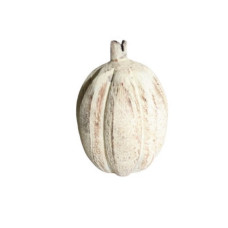 WOODEN PUMPKIN SMALL GRAINS